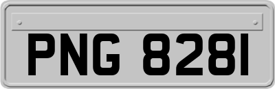 PNG8281