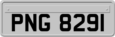 PNG8291