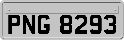 PNG8293
