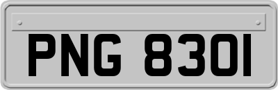 PNG8301