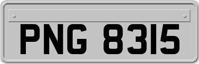 PNG8315
