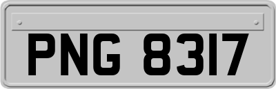 PNG8317