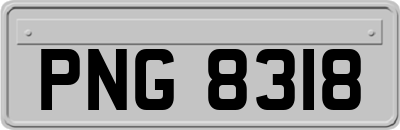 PNG8318