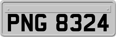 PNG8324