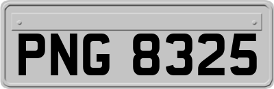 PNG8325