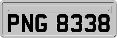 PNG8338