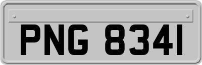 PNG8341