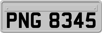 PNG8345
