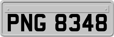PNG8348