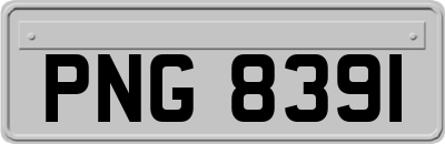 PNG8391