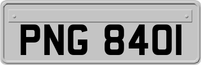 PNG8401