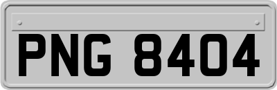 PNG8404