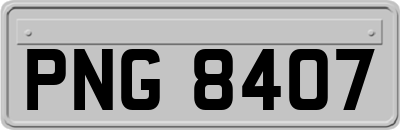 PNG8407