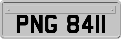 PNG8411