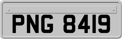 PNG8419