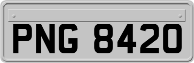 PNG8420