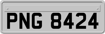PNG8424