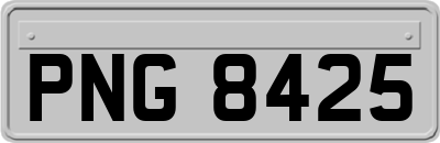 PNG8425