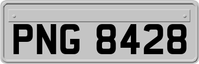 PNG8428