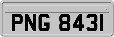PNG8431