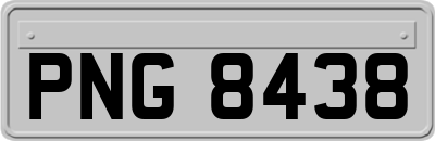 PNG8438