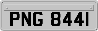 PNG8441