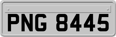 PNG8445