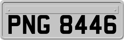 PNG8446