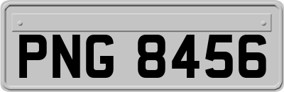 PNG8456