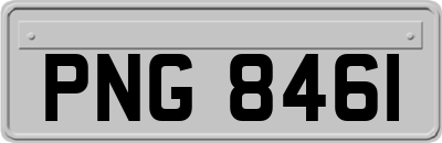 PNG8461