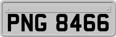 PNG8466
