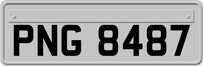 PNG8487