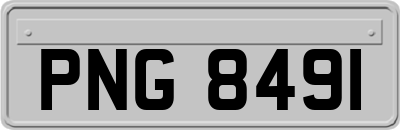 PNG8491
