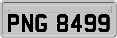 PNG8499