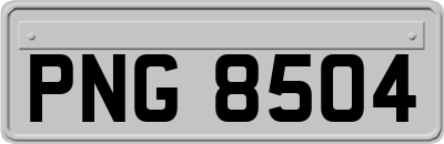 PNG8504