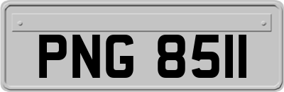 PNG8511