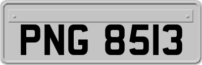 PNG8513