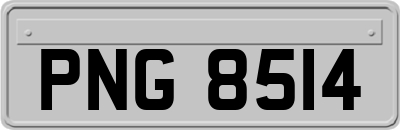 PNG8514