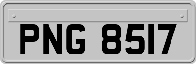 PNG8517