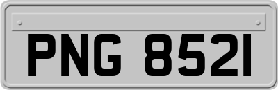 PNG8521