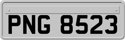 PNG8523