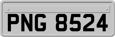 PNG8524