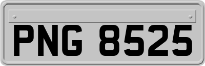 PNG8525