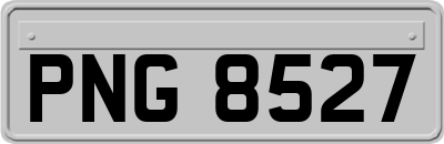 PNG8527