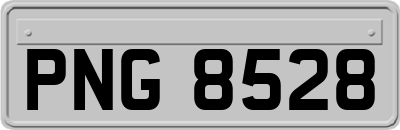 PNG8528