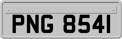 PNG8541