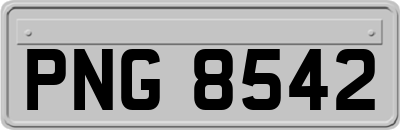 PNG8542