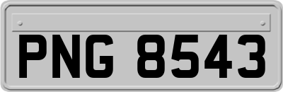 PNG8543