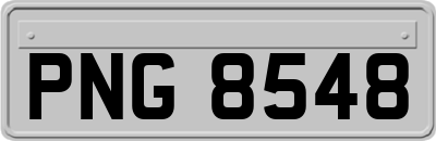 PNG8548