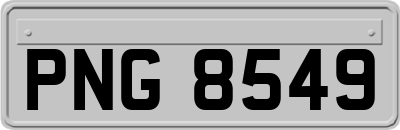 PNG8549